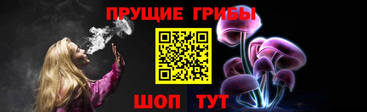 Георгиевск  закладки  Вход с VPN  Галлюциногенные грибы MAGIC MUSHROOMS 