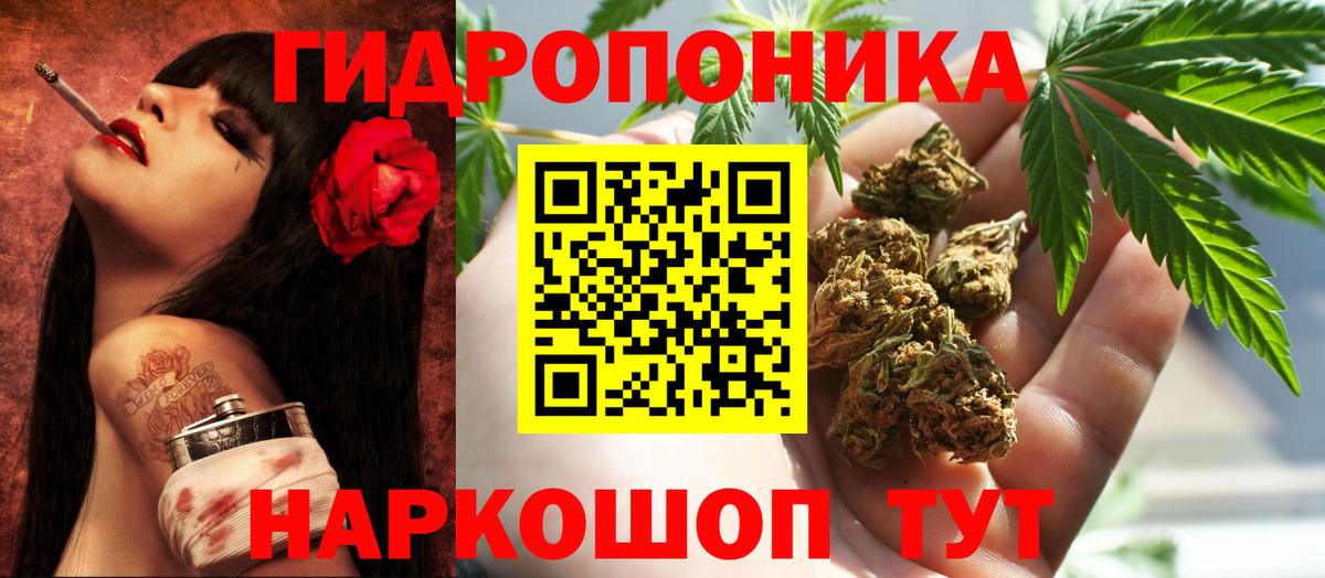 Конопля тримм  Бошки Шишки White Widow  Бошки Шишки MAZAR  Марихуана White Widow  Вход с VPN  Георгиевск 